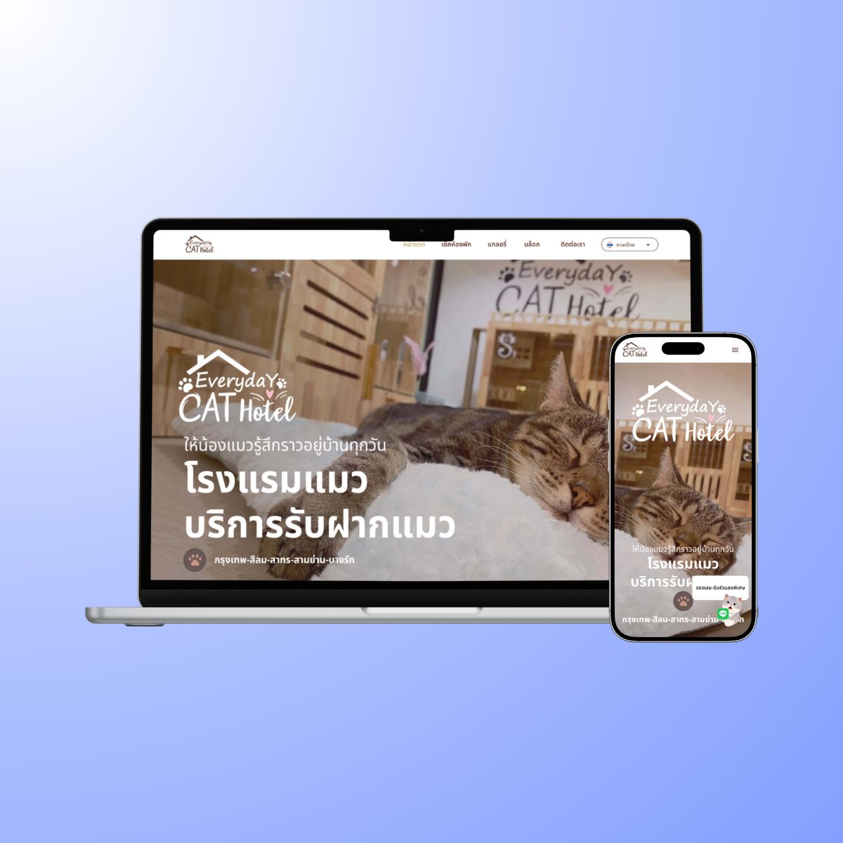 Everyday Cat Hotel