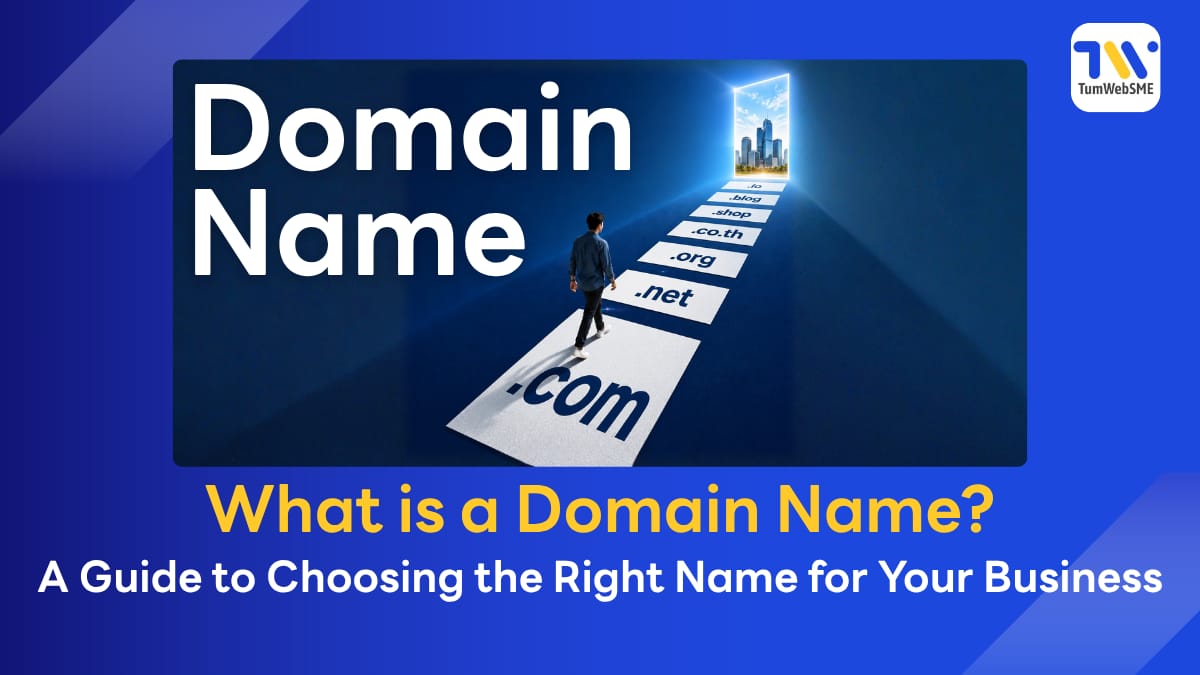 Infographic a domain name and how it works for business websites