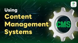 Using Content Management Systems (CMS)