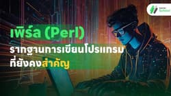 เพิร์ล (Perl) รากฐานการเขียนโปรแกรมที่ยังคงสำคัญ