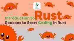 Introduction to Rust: Reasons to Start Coding in Rust
