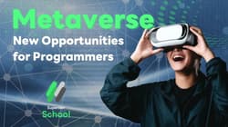 New Opportunities for Programmers in the Metaverse