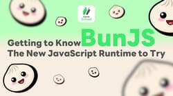 Getting to Know BunJS: The New JavaScript Runtime to Try