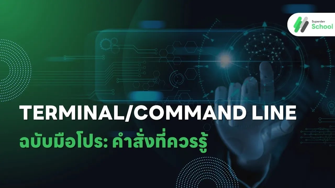  Terminal/Command Line ฉบับมือโปร: คำสั่งที่ควรรู้